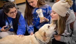 Abbott Library Stress Relief Days. 