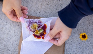 love canal series - art for collective. 