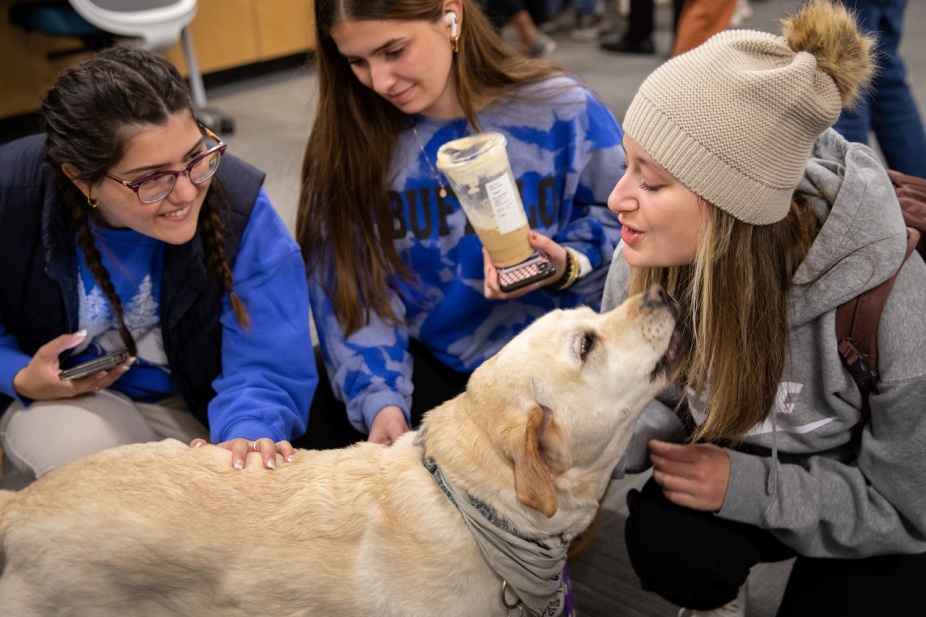 Students pet a visiting therapy dog. 