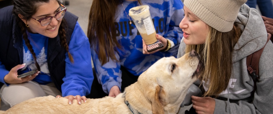 Students pet a visiting therapy dog. 