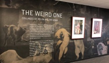 Helen and Pat Adam Exhibit. 