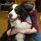 Student hugging a therapy dog. 