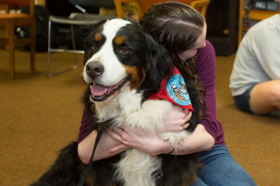 Student hugging a therapy dog.