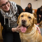 Photo of student with therapy dog. 