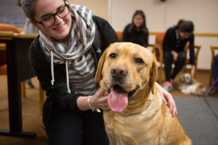Photo of student with therapy dog.