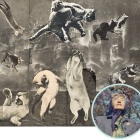 The Collages of Helen Adam photo. 