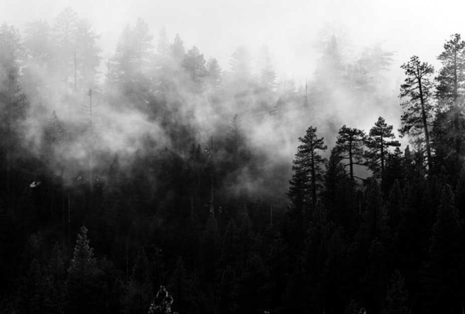 Black and white winter imagery. 