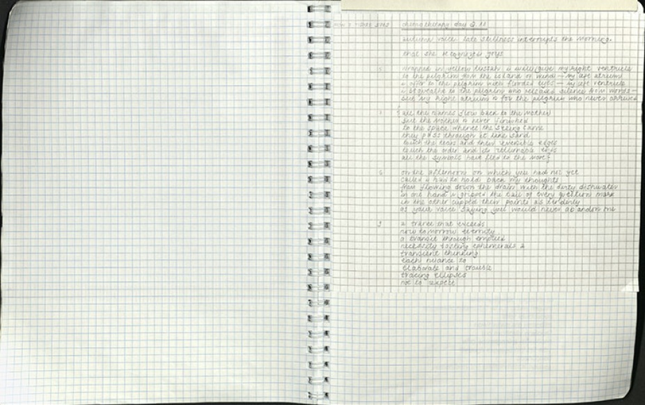 Fig. 15. “chemotherapy day 2.11,” from the notebook Figo C III (pink cancer notebook), ca. 2009, Carton 11, PCMS-0089, Anne Blonstein Collection, 1975-2011, The Poetry Collection of the University Libraries, University at Buffalo, The State University of New York. 