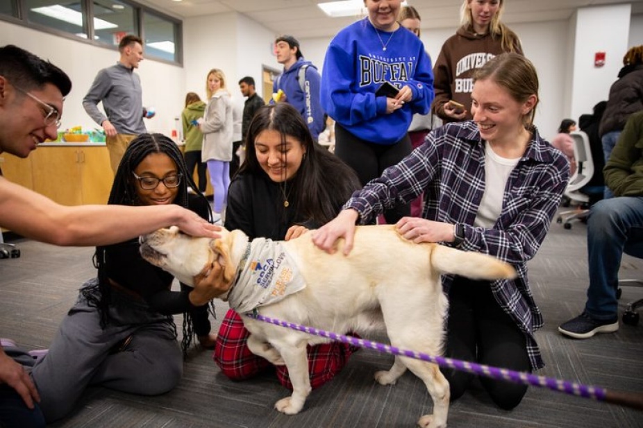 Smiling students pet a yellow Labrador Retriever. 