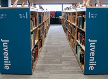 Juvenile collection stacks. 