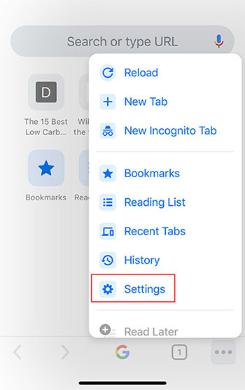 Chrome settings iOS