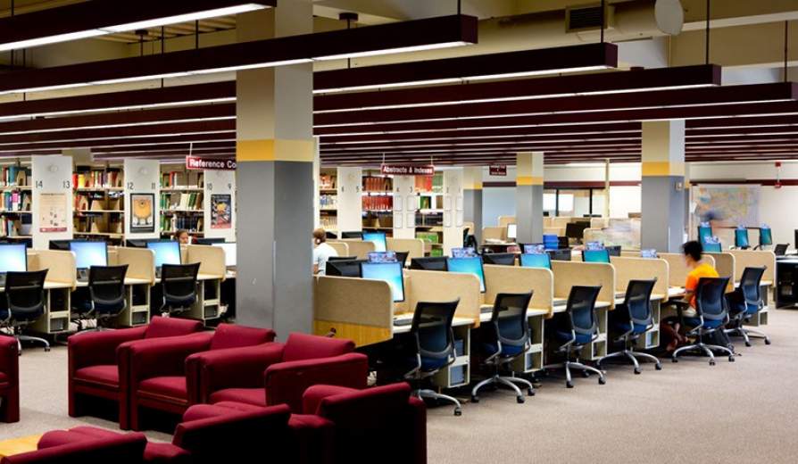 buffalo library case study