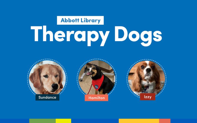 therapy dog photos