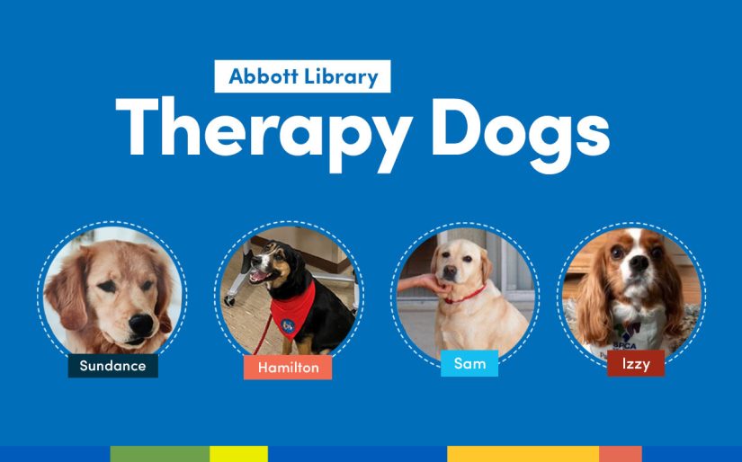 Abbott Library Therapy Dogs