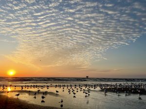 Woodlawn Beach State Park