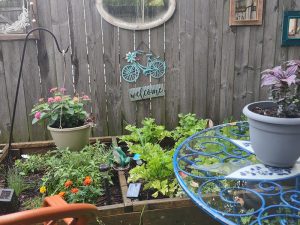Teresa's garden